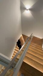 Amber Skye (D15), Apartment #486023901